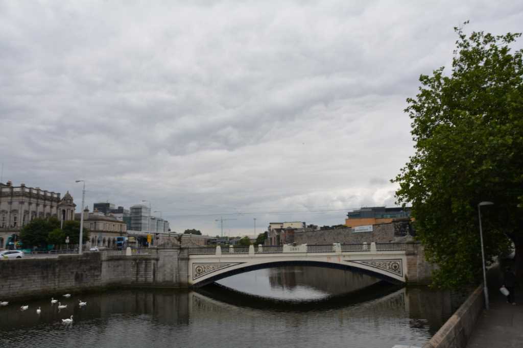 DSC_3842Mittel_.JPG